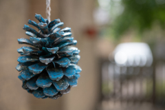 Abbey Village care home in Brigg - Outdoors